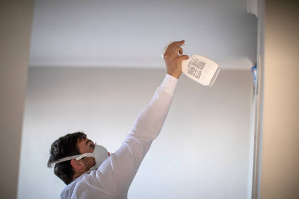 Best Mold Remediation  in Rio Rancho Estates, NM